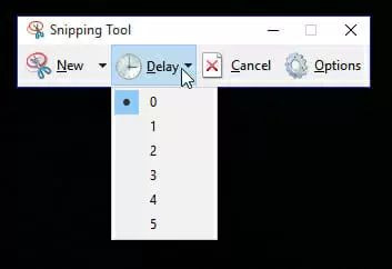 Using the Snipping Tool