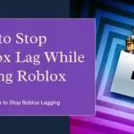 stop-roblox-lag